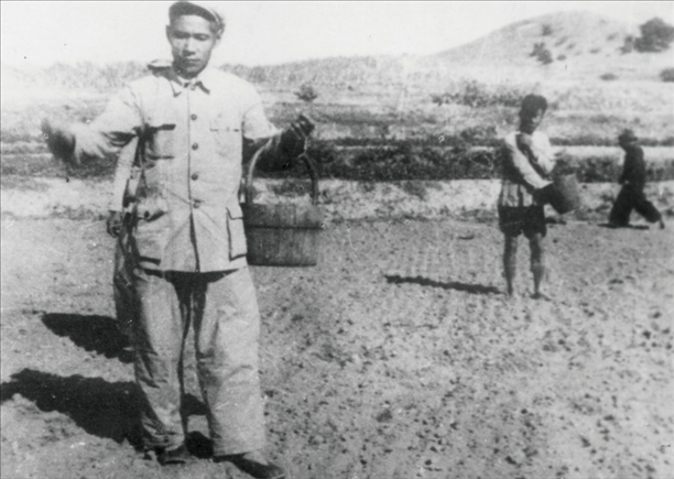 △ 谷文昌在福建省東山縣坑北村參加播種。