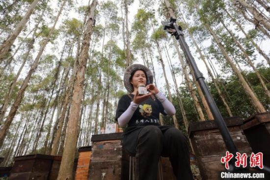 吳素英在網(wǎng)絡(luò)平臺直播介紹蜜蜂和養(yǎng)蜂情況。湯曉逵 攝