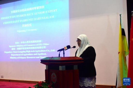 10月26日，文萊初級資源與旅游部常任秘書圖蒂亞蒂在斯里巴加灣市出席中國與文萊雜交水稻高級專家顧問項(xiàng)目啟動(dòng)儀式。新華社記者 李萌 攝