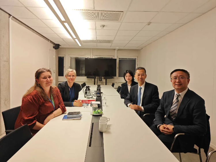 中國駐瑞典大使崔愛民會見瑞典聯(lián)合國教科文組織全國委員會秘書長。中國駐瑞典大使館供圖