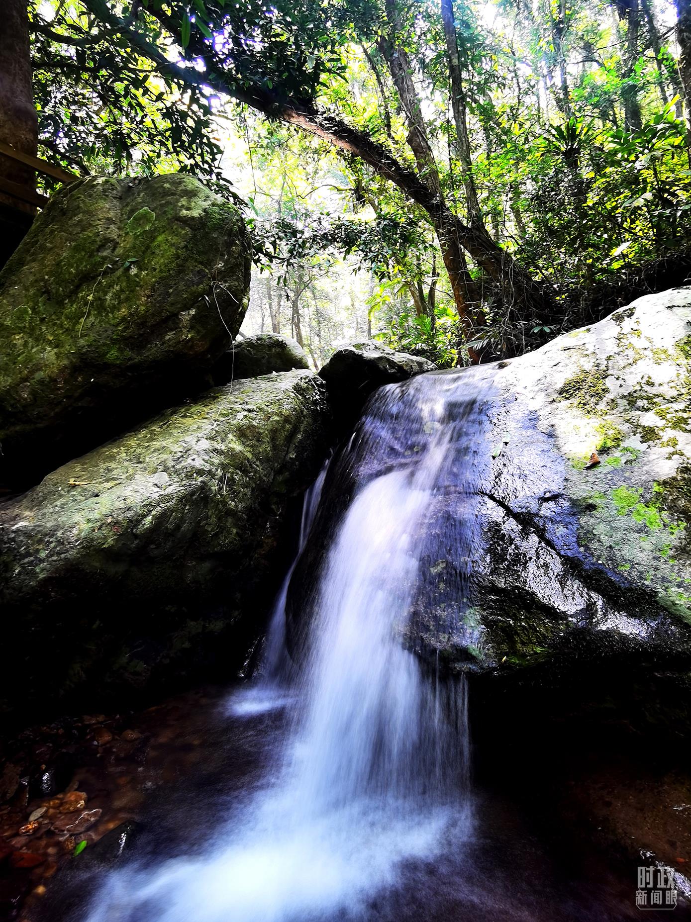海南五指山。（總臺央視記者劉琦拍攝）