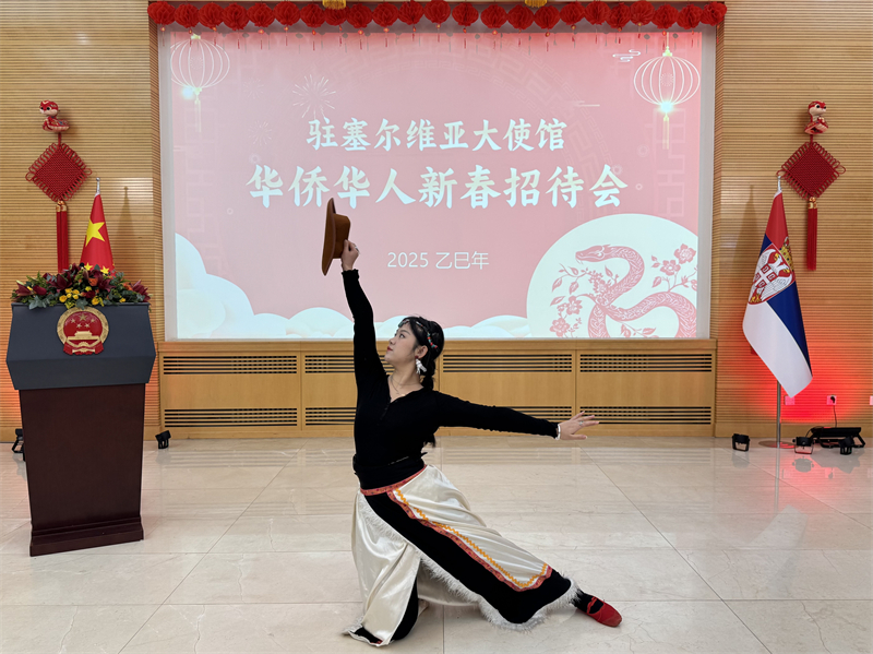 招待會現(xiàn)場表演。諾維薩德孔子學(xué)院供圖