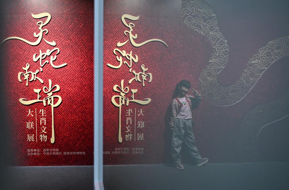 1月18日，一名小朋友在國家自然博物館舉辦的“靈蛇獻瑞——2025乙巳蛇年生肖文物大聯(lián)展”展覽中拍照留念。（新華社記者 陳鐘昊 攝）