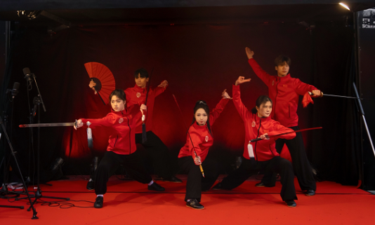 武術(shù)表演。中國駐芬蘭大使館供圖