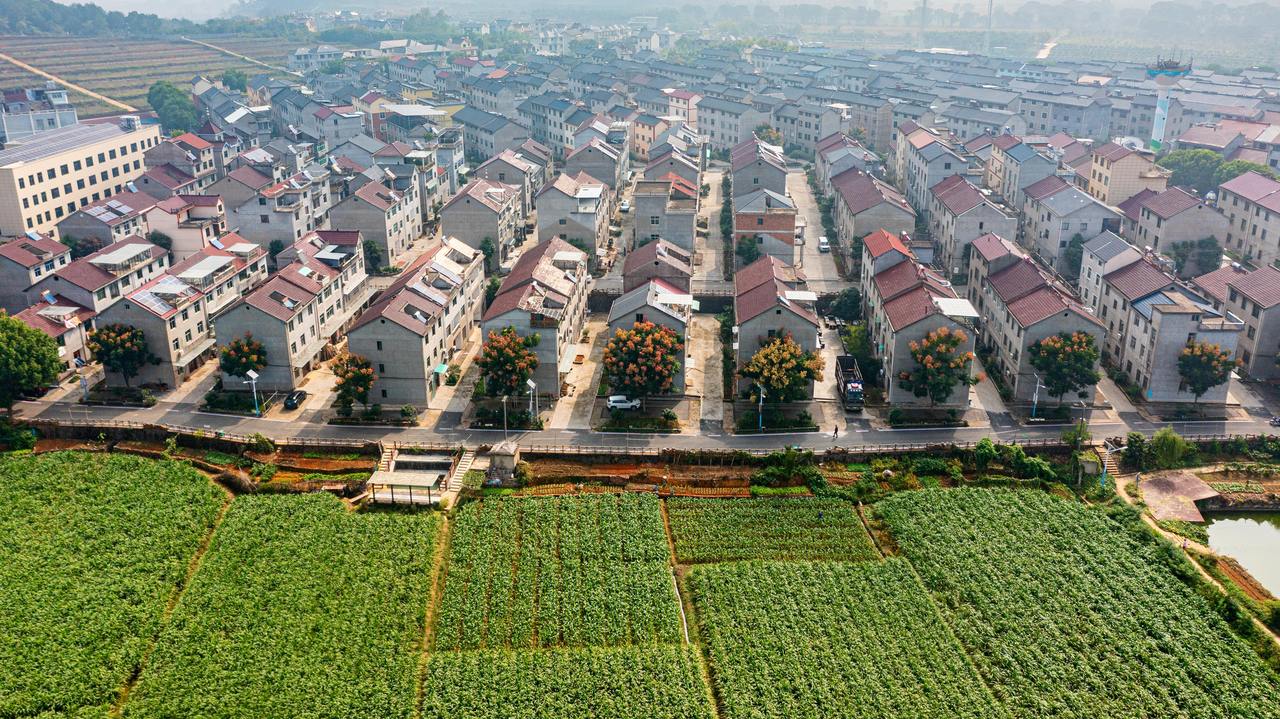 衢州市衢江區(qū)云溪鄉(xiāng)希望新村鳥瞰圖。衢州市衢江區(qū)委宣傳部 供圖