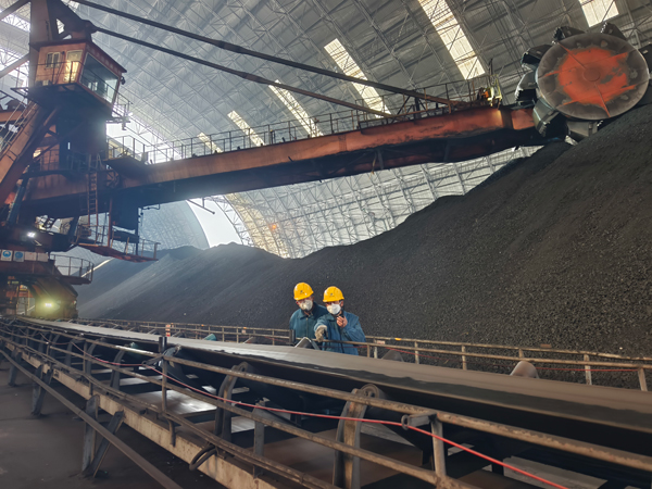 趙善國(guó)（右）和同事對(duì)電廠煤場(chǎng)進(jìn)行巡檢。受訪者供圖