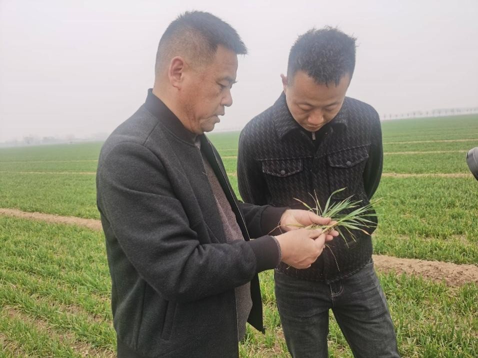 在山東濟寧汶上縣苑莊鎮(zhèn)，農(nóng)技員黃海龍對種糧大戶王振現(xiàn)場進行春耕指導(dǎo)。人民網(wǎng)記者 車柯蒙攝