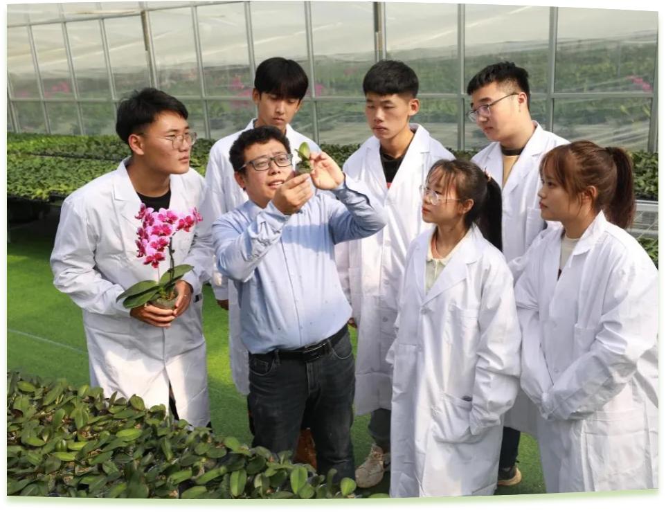濰坊工程職業(yè)學(xué)院科技創(chuàng)新團(tuán)隊(duì)為花卉行業(yè)從業(yè)者作蝴蝶蘭雜交選育技術(shù)指導(dǎo)。學(xué)校供圖