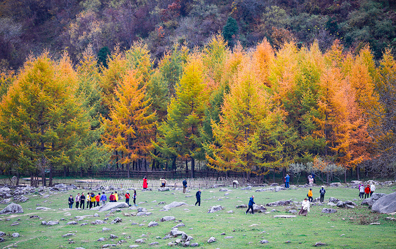 2023年10月27日，深秋時節(jié)的陜西秦嶺太子嶺五彩斑斕，進入最佳觀賞期。