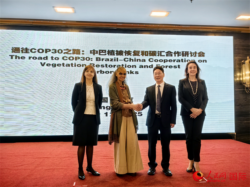 中國(guó)國(guó)家林業(yè)和草原局副局長(zhǎng)李云卿（右二）、巴西環(huán)境和氣候變化部部長(zhǎng)瑪麗娜·席爾瓦（左二）、巴西財(cái)政部副部長(zhǎng)羅熙丹（右一）、巴西駐華大使館公參樂美（左一）出席“通往COP30之路：中巴植樹造林和碳匯合作研討活動(dòng)”。人民網(wǎng)記者 符園園攝