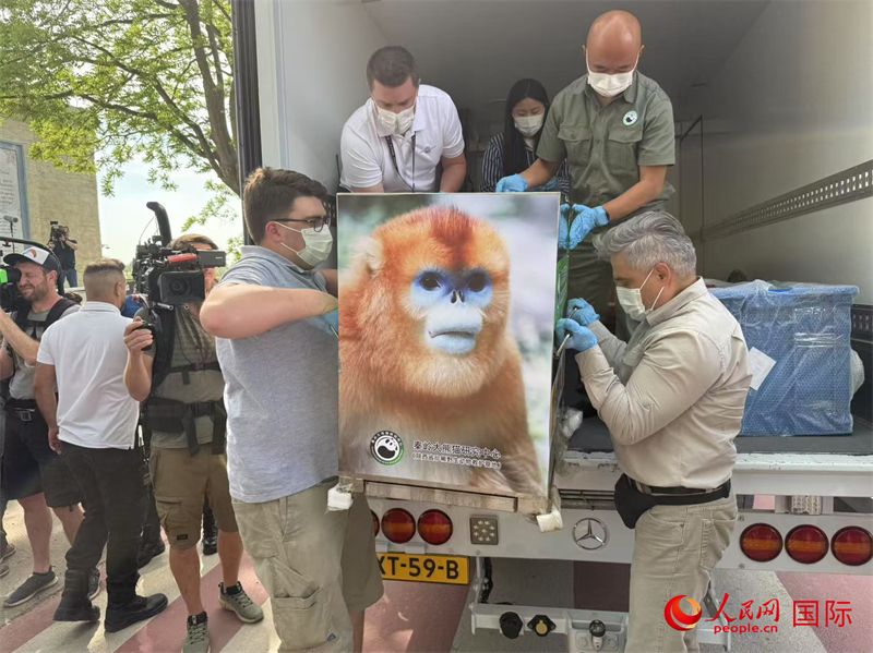 圖為活動(dòng)現(xiàn)場(chǎng)。人民網(wǎng)記者 牛瑞飛攝