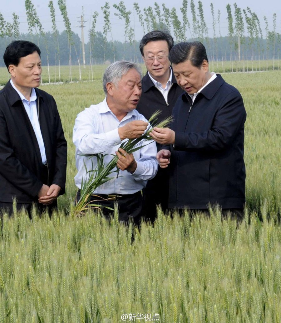 2014年5月，習(xí)近平總書記在河南省尉氏縣張市鎮(zhèn)高標準糧田察看小麥長勢。