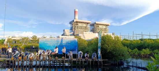 5月18日，中印尼嘉賓在爪哇7號燃煤電站舉行紅樹林補(bǔ)植儀式。記者 曹凱 攝