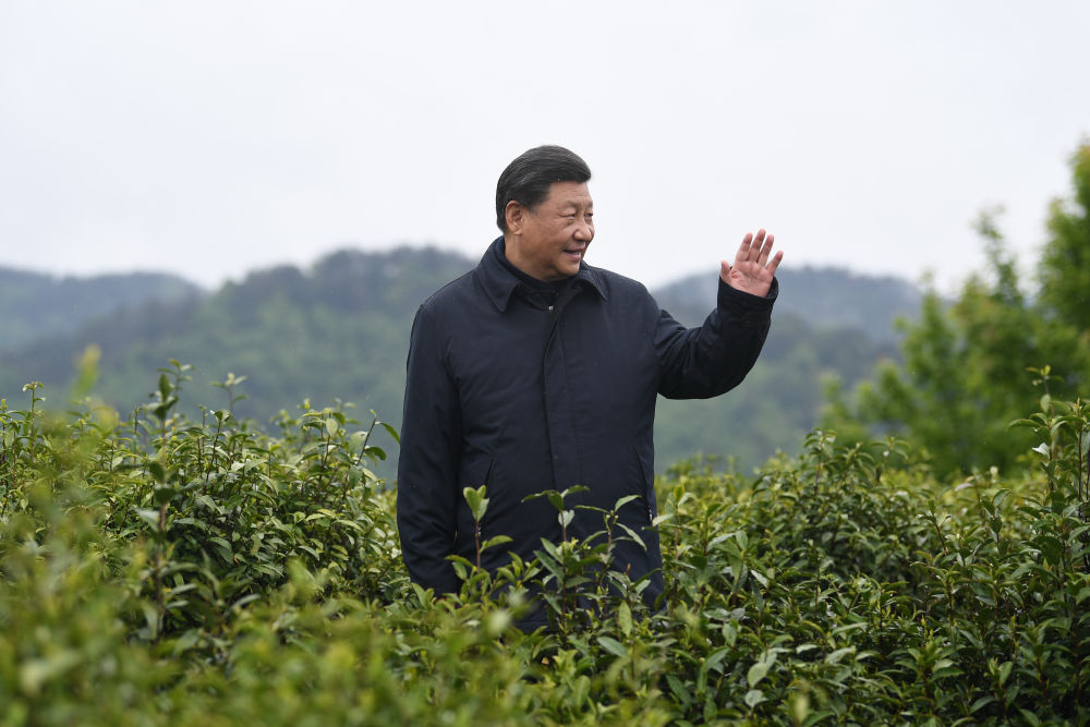 2020年4月21日，習(xí)近平總書(shū)記來(lái)到陜西安康市平利縣老縣鎮(zhèn)，在茶園考察脫貧攻堅(jiān)情況。新華社記者 燕雁 攝