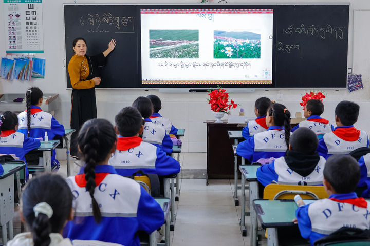 2024年9月27日，在四川省甘孜藏族自治州道孚縣城關第一完全小學，采取“藏加模式”教學的五年級一班的藏語文課上，準木周老師指導藏族學生以家鄉(xiāng)草原風物為主題寫作藏語文作文。新華社記者 沈伯韓 攝