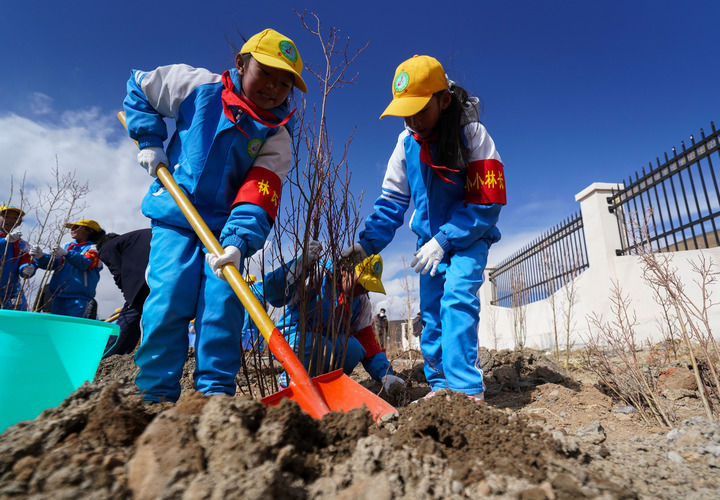 2025年4月25日，西藏那曲市小學生在植樹。新華社記者 晉美多吉 攝